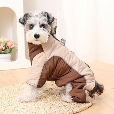 Chien content avec manteau petit Chien Hiver élégant marron