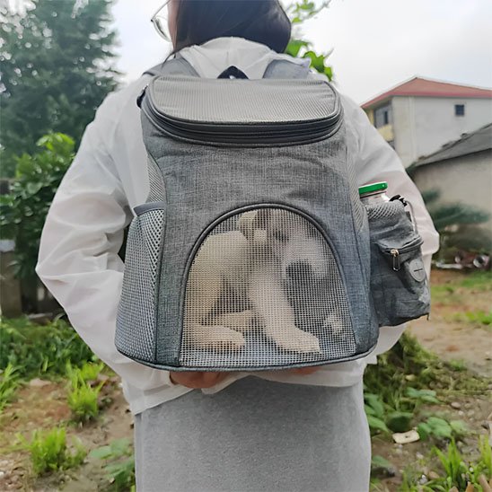 Chien content dans sac à dos pour chien Green Trail gris 