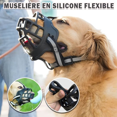 chien content en muselière Panier noir et encart