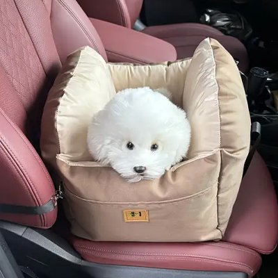 Chien couché dans un siege auto pour chien Route Zen Brun