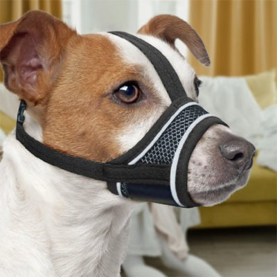 chien couché en muselière pour chien Ventis noir