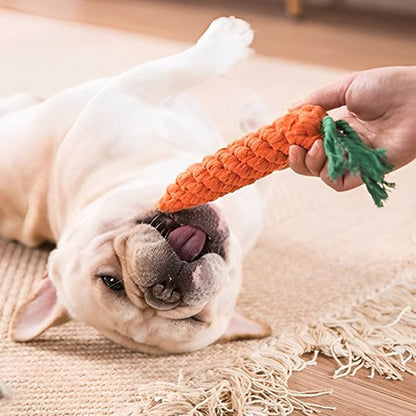 chien couché jouant avec ses jouets pour chiens Carotte