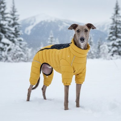  Chien dans la neige avec manteau pour Chien Doudoune jaune
