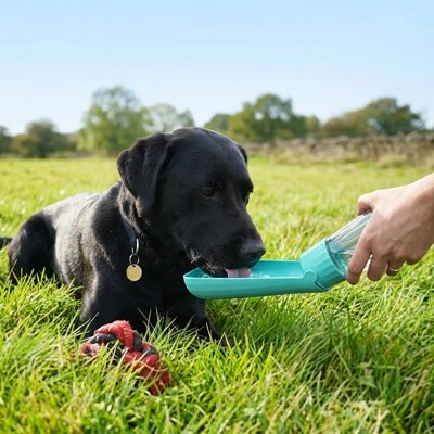  Chien dans l'herbe buvant gourde Chien Patte Soif bleu