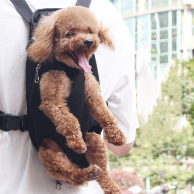 chien dans sac a dos chien Kangourou noir