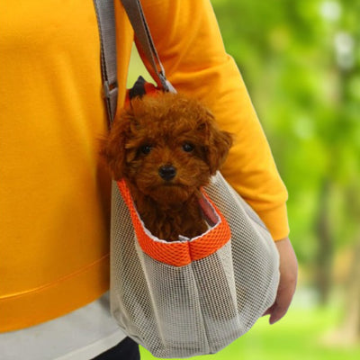 chien dans son sac de transport pour chien Filet visibilité orange porté par sa maitresse