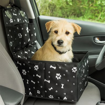 Chien dans un siege auto chien Patte Douillette 