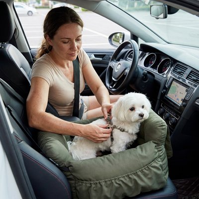Chien dans un Siege auto pour chien Kaki en voiture avec sa maitresse