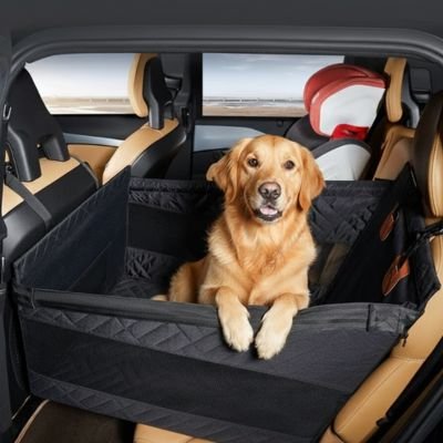 Chien dans un Siege auto pour chien Nomade en voiture