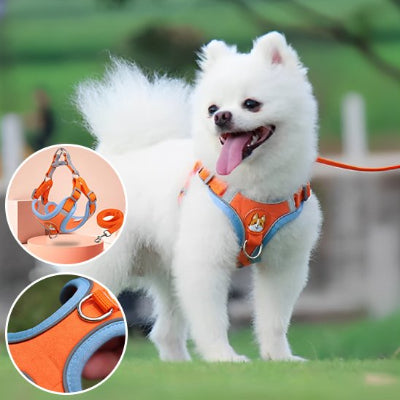 chien debout avec Harnais pour chien  Douce Patte orange et encart