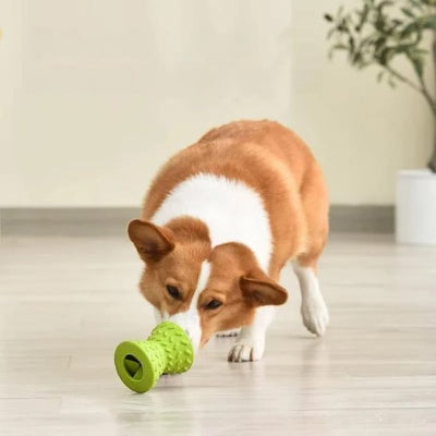 chien debout qui joue avec son jouet pour chien NutriPlay vert