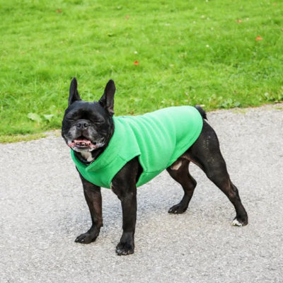 Chien dehors en manteau chien polaire douillet vert