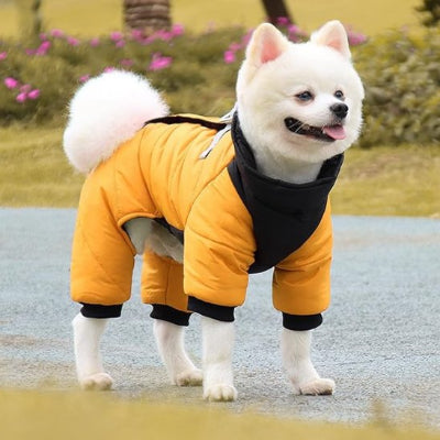 Chien dehors en manteau chien Réconfort jaune 