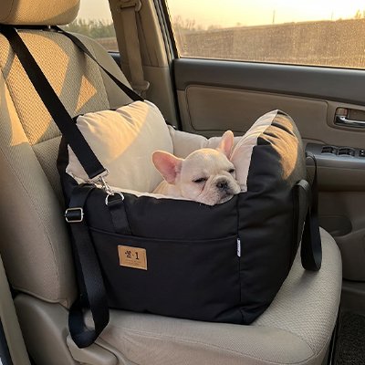 Chien dormant dans un siege auto pour chien Route Zen Noir