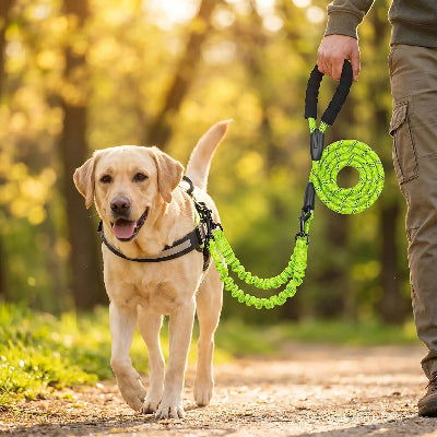 chien en balade en laisse anti-enchevêtrement vert