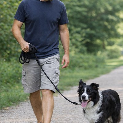 Chien en balade en longe pour Chien Balade Flex Noir avec son maitre