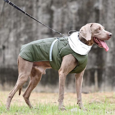 Chien en forêt avec manteau pour chien Doudoune imperméable kaki