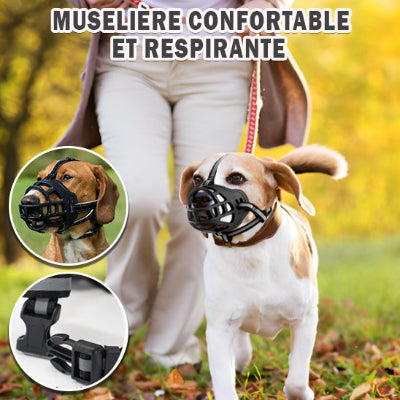 chien en forêt avec muselière panier noir et encart
