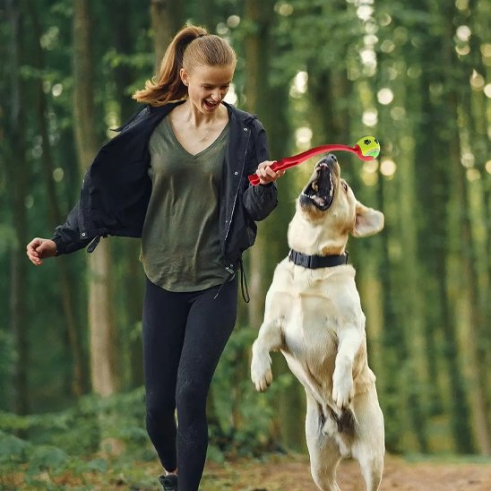 chien en forêt jouant avec sa maitresse et un lanceur de balle pour chien Launchy rouge 