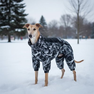 Chien en hiver avec Manteaux chien Confort douillet noir