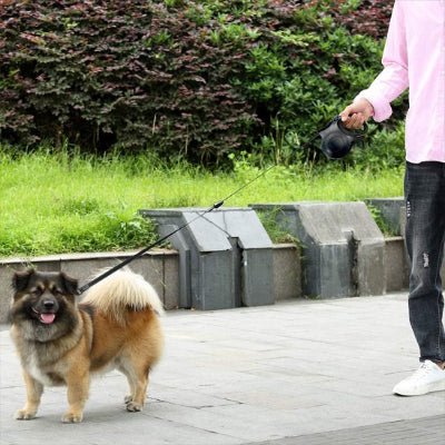 chien en laisse de chien marchant avec son maitre