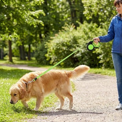 Chien en laisse enrouleur pour chien Rétractable Sécurité vert avec sa maitresse