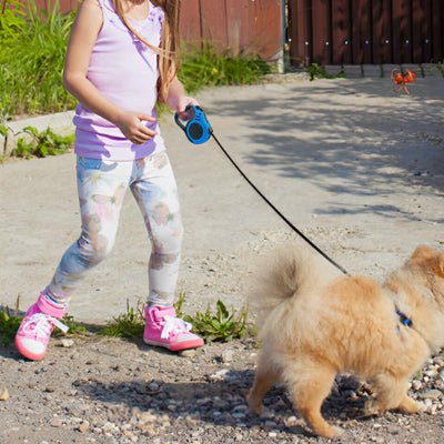 chien en laisse pour chien bleue avec fillette