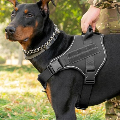 Chien en promenade avec harnais chien confort Sécurité noir