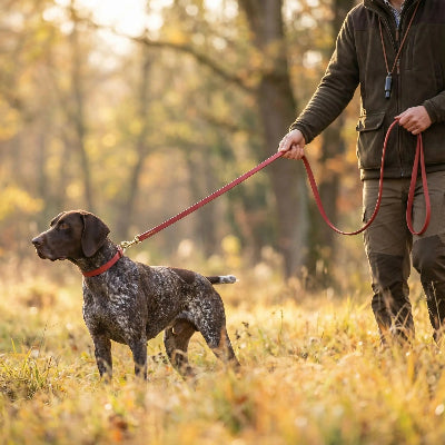 chien en promenade avec longe pour chien Balade canine rouge à la campagne avec son maitre