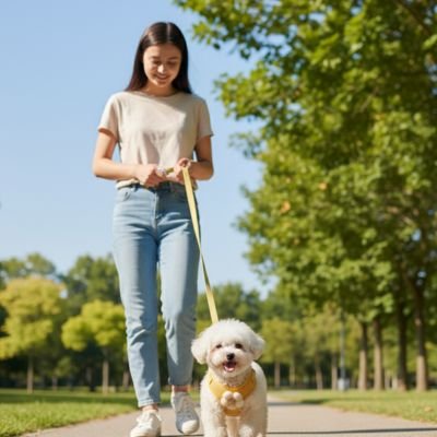 Chien en promenade en harnais pour porter un chien Margueritejaune avec son maitresse