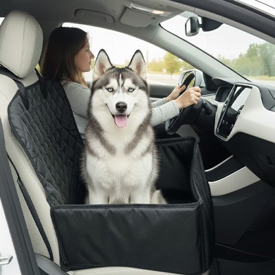 Chien en siege auto pour chien Cocon auto en voiture heureux avec sa maitresse
