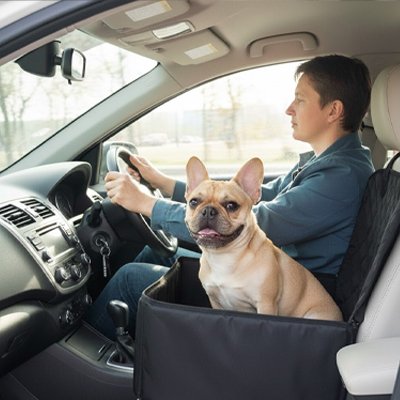 Chien en siege auto pour chien Cocon auto en voiture