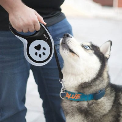 chien gris en laisse laisse pour chien motif pattes