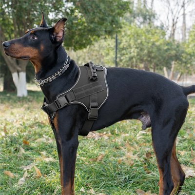 Chien habillé avec harnais chien confort Sécurité noir