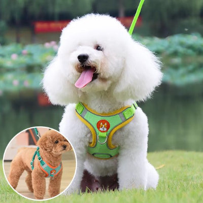 chien heureux avec Harnais pour chien  Douce Patte vert et encart