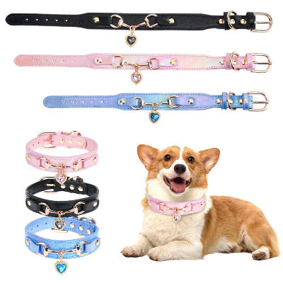 chien heureux avec photo collier pour chien rose bleu rose
