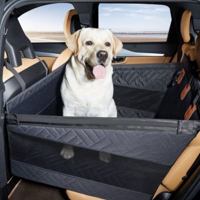 Chien heureux dans un Siege auto pour chien Nomade en voiture