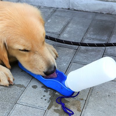 Chien heureux en buvant dans une gourde pour Chiens Museau Frais bleu