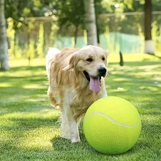 chien jouant avec sa balle pour chien Big Tennis jaune au parc