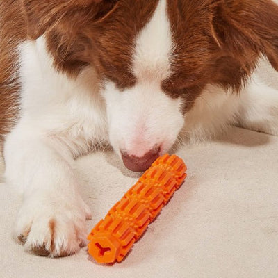 chien jouant avec son Jouet chien CroqStick orange 