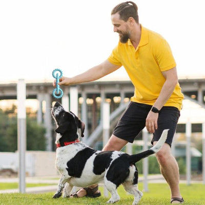 chien jouant avec son jouet chien indestructible Mach'Dog bleu avec son maitre