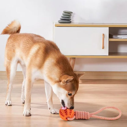 chien léchant Jouets pour chien Balle Corde orange