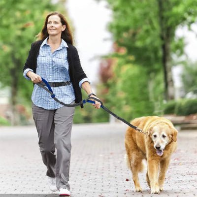 chien marchant dans la rue avec sa maitresse en laisse canicross