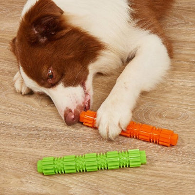 chien mordant un Jouet chien CroqStick orange