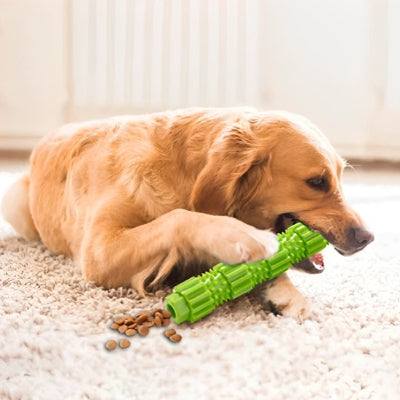 chien mordant un Jouet chien CroqStick vert et croquettes qui sortent 