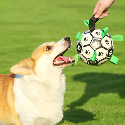 chien qui joue avec sa balle chien Foot à l'extérieur