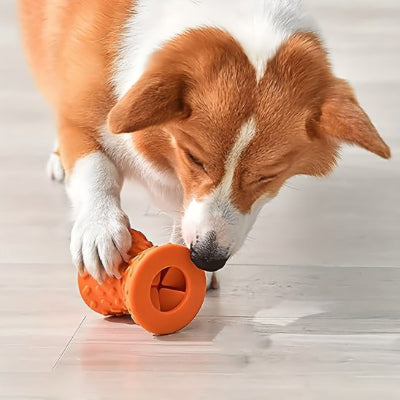 chien qui joue avec son jouet pour chien NutriPlay orange 