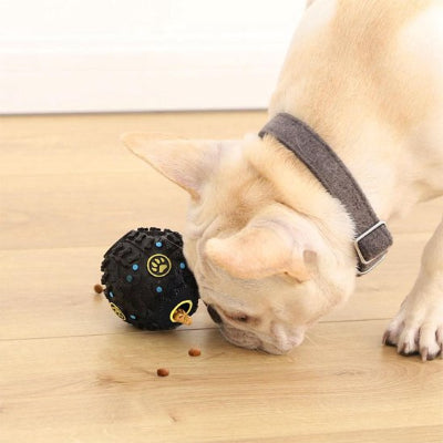 chien qui mange ses croquettes qui sortent du jouet pour chienBalle Os