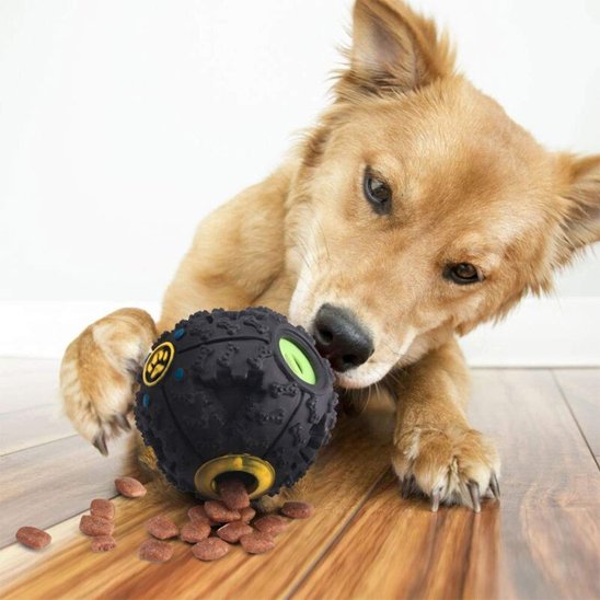 chien qui sent son jouet pour chien Balle Os 