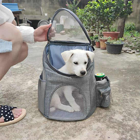 Chien qui sort sa tête dans sac à dos pour chien Green Trail gris 